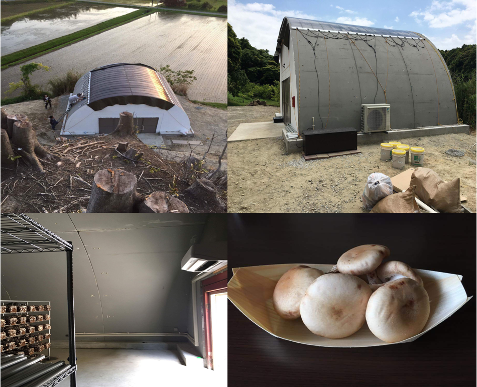 Off grid plant factory experimental project